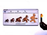 Evolution-14.jpg