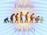 Evolution-16.jpg