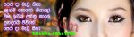 sscopy.jpg