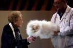 cat_show_01.jpg
