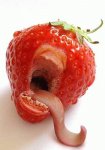 funny_foods_pictures_01.gif[1].jpg