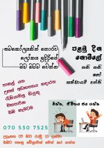 E Flyer SN-01-min.jpeg