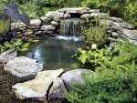 PMX0606POND006_large[1].jpg