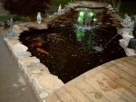 witty_pond_001[1].jpg