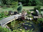 garden-pond-bridge-2[1].jpg
