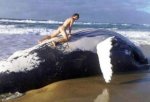 animals-humping-wrong-animals04.jpg