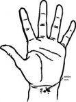 1197096732794508954johnny_automatic_hand_-_palm_facing_out.svg.hi.jpg