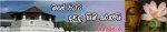 sdfssb.jpg