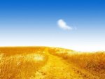 Landscape-4-1.jpg