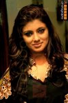 nathasha3.jpg