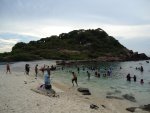 DSC02484.jpg DSC02484.jpg