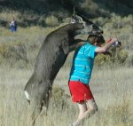 very-naughty-animals15.jpg