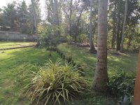 IMG-20220119-WA0003.jpg