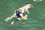 very-naughty-animals35.jpg