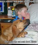 funny-dog-pictures-praying-dog-boy-bed[1].jpg