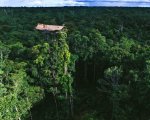 gravity_defying_08_tree.jpg