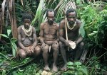 Papua_tree_people_Kombai (14).JPG