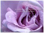ද්ෆ්noname.jpg