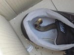 pic27892.jpg