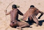 Bushman1.jpg