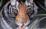 great_illusionary_art_Funzug.org_04.jpg