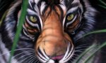 great_illusionary_art_Funzug.org_06.jpg