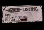 african-elephant-goes-missing.jpg