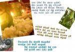 srimeth10.jpg