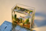 smallest_aquarium1.jpg