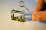 smallest_aquarium2.jpg