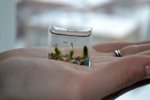 smallest_aquarium3.jpg