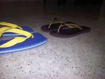 IMG00083-20110911-1331 edit.jpg