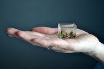 smallest_aquarium4.jpg