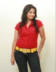 sheshadri8.jpg