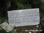 srilanka_fun2.jpg