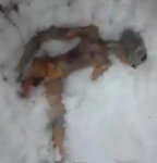 dead-alien-body-russia.jpg