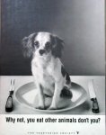 dog-on-plate.jpg