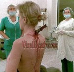 Vd-in-the-back.jpg