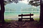 bench.jpeg