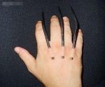 Insane-Body-Mods-22.jpg
