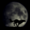 sl.gif