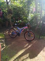 IMG_20220708_075652.JPEG