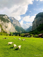 Natural-Beauty-of-Switzerland-travel-post-shabbyfufu-4-copy.png