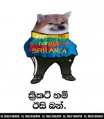 FB_IMG_16629199519107129.jpg