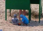 funny-summer20.jpg