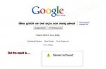 61951_1646244039423_1336572293_1755119_6873186_n.jpg