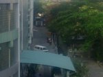 pic 2.jpg
