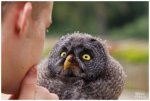 Collection-Of-Best-Photographs-Of-Birds-12_009-660x444.jpg