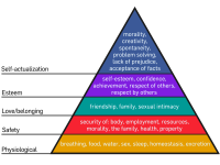 Maslow's_Hierarchy_of_Needs.svg.png