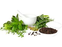 herbs.jpg